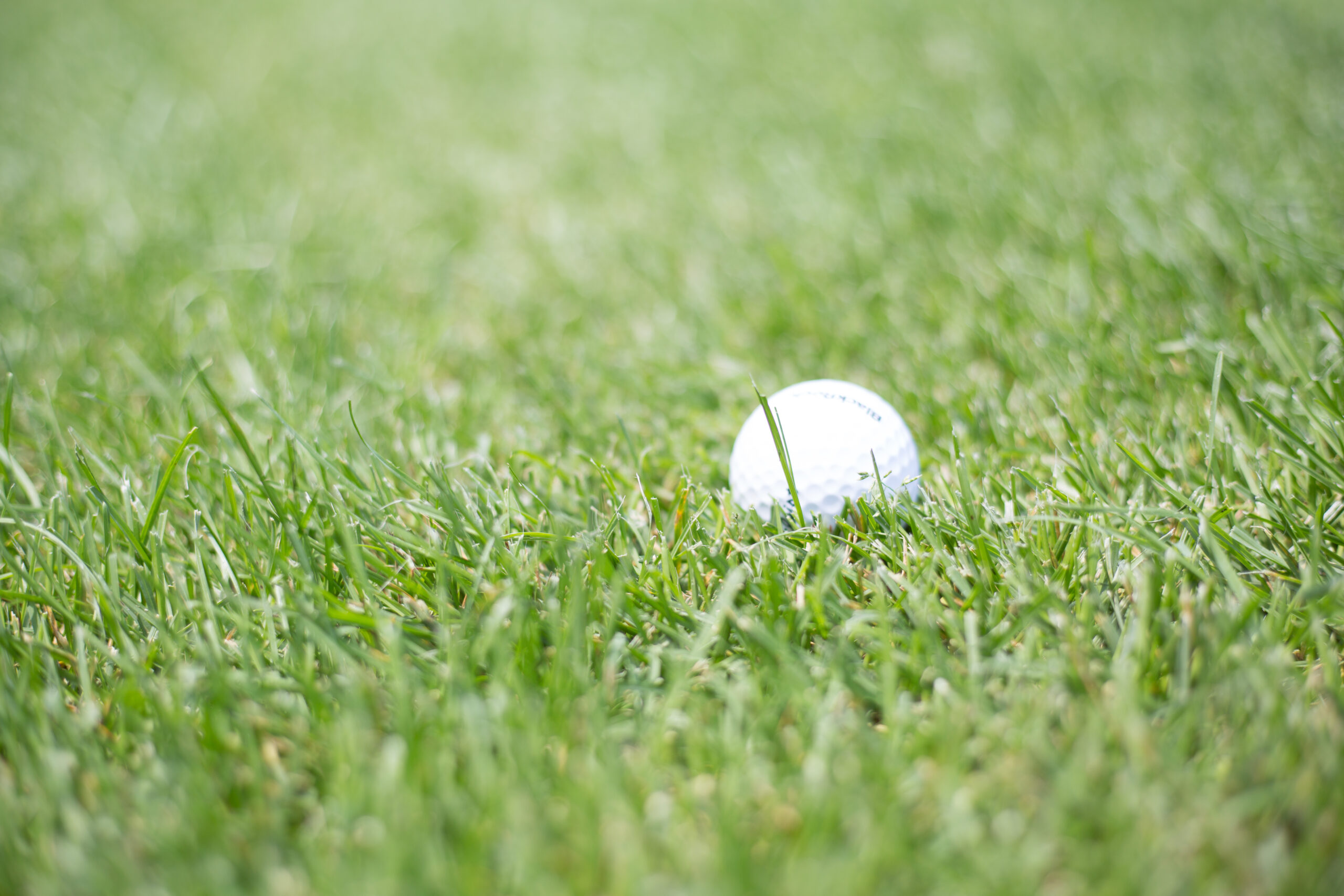 golf ball on grass