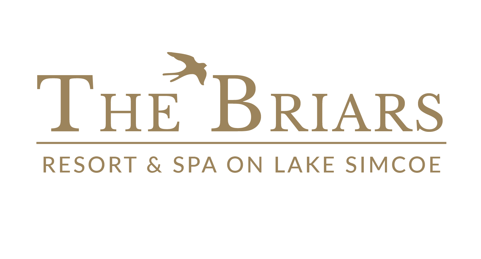 briars resort logo