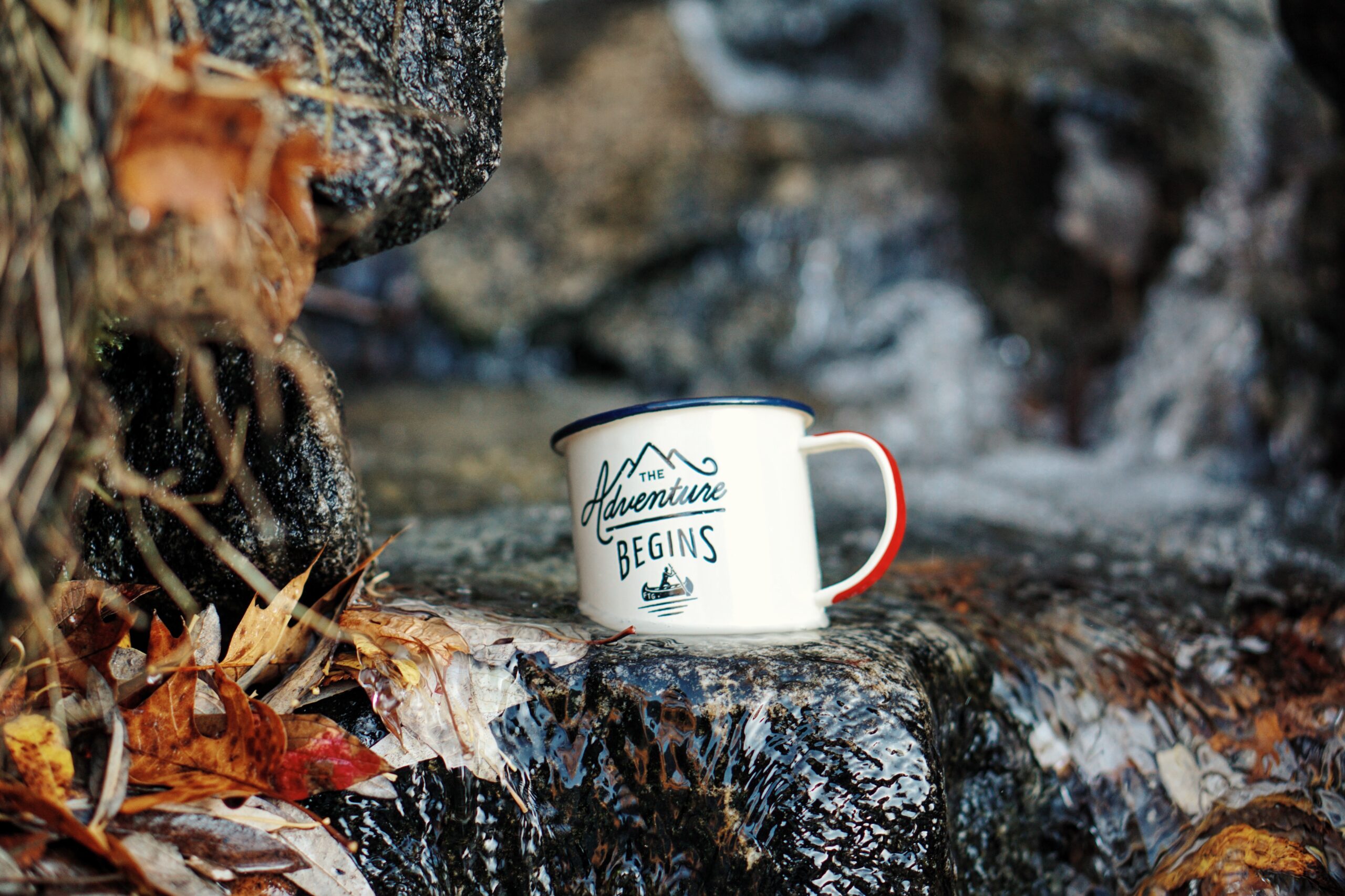 where adventure begins cup