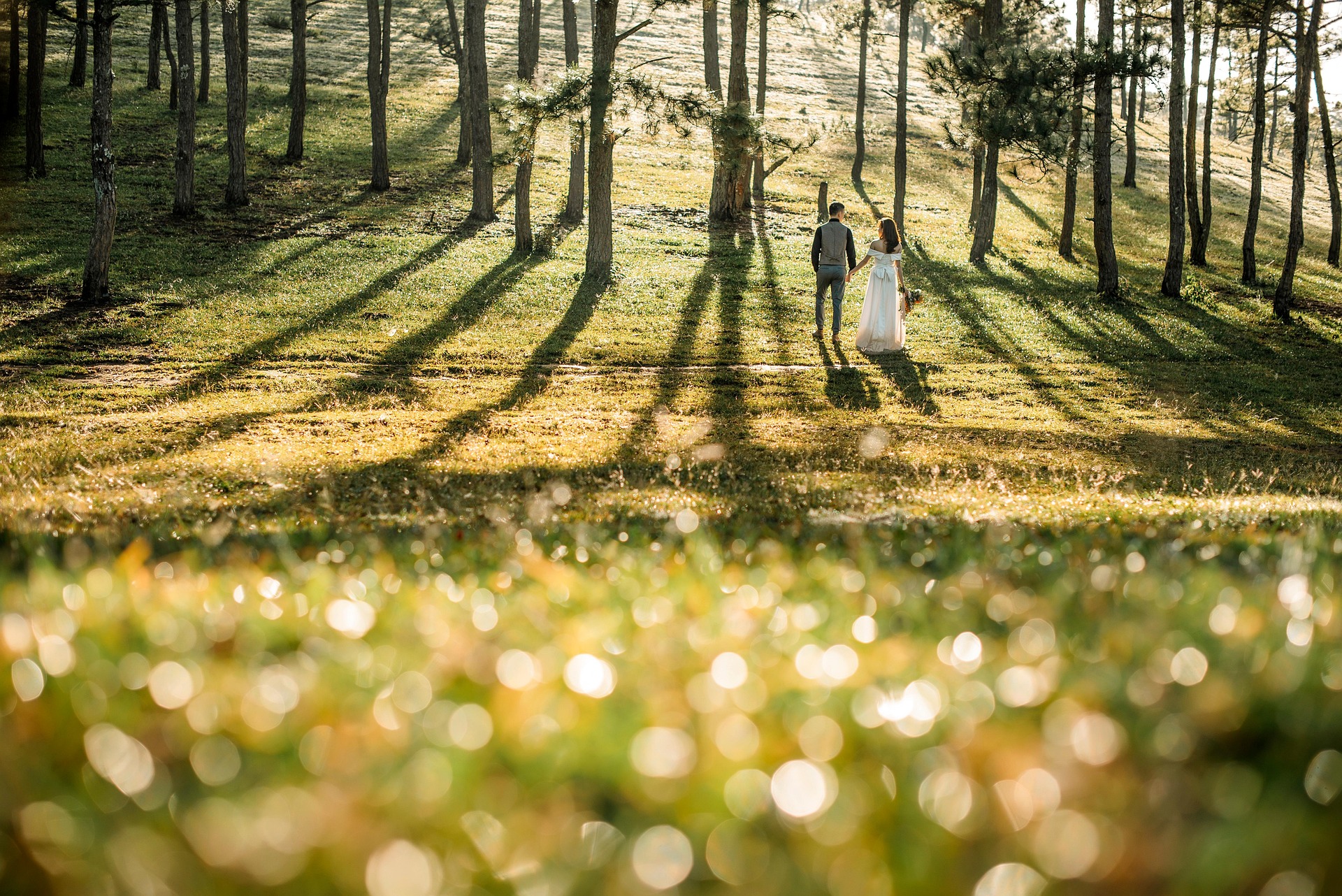 couple married by trees