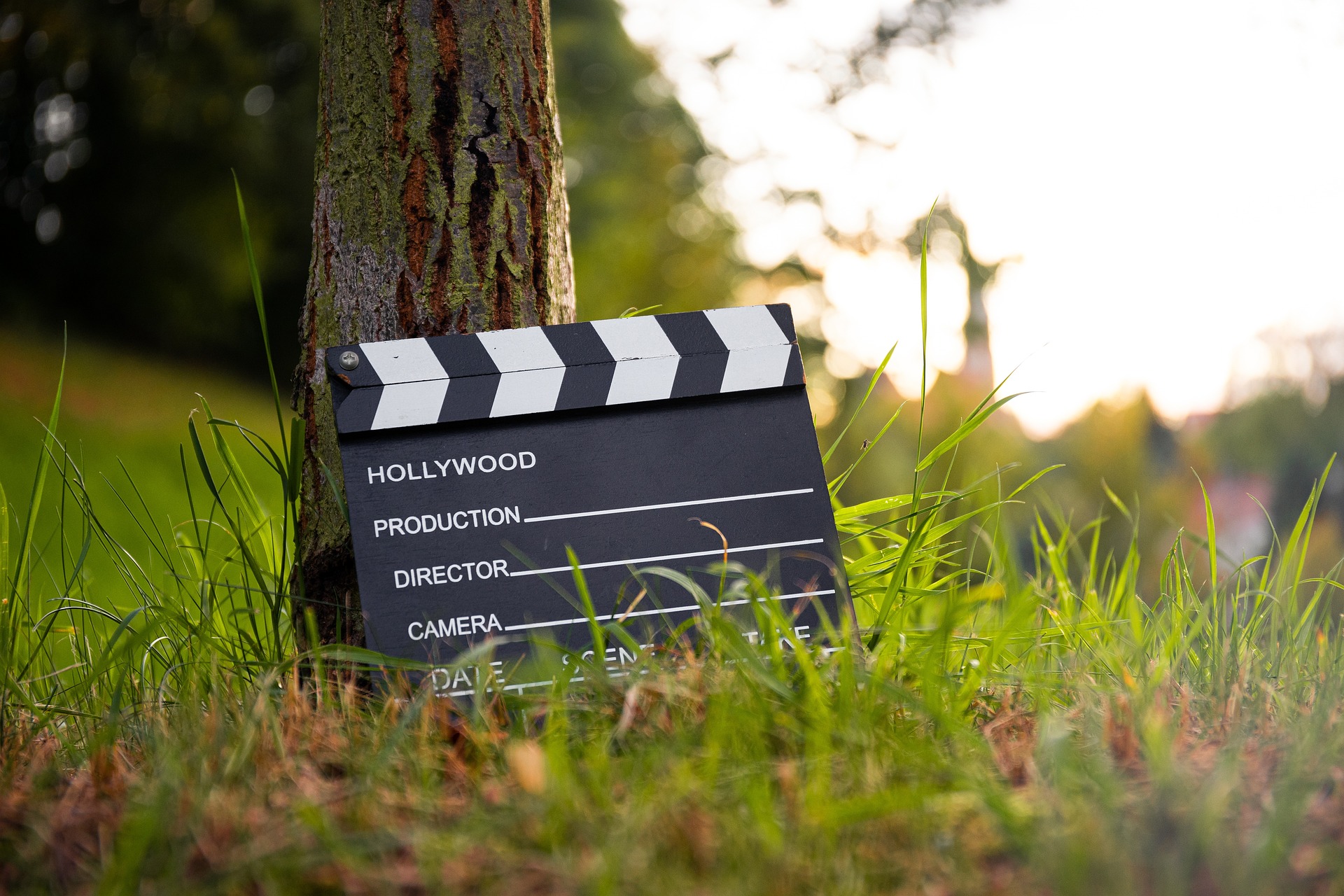 movie forest