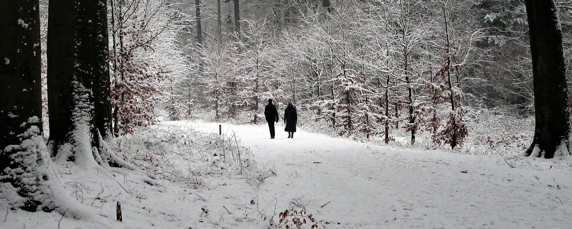 couple hiking in forest