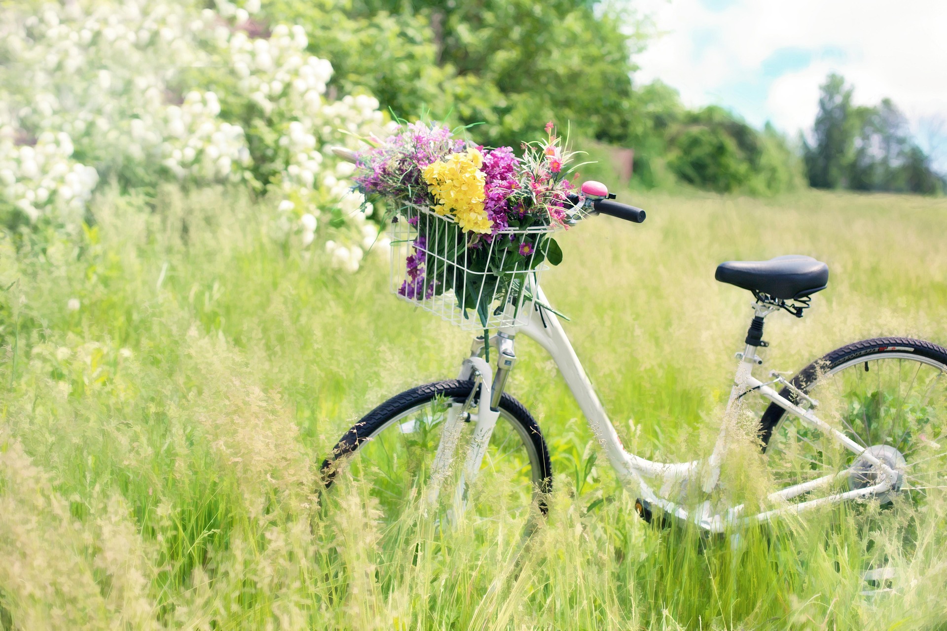 Why Some Weddings Feel Like a Retreat (And Others Feel Like an Event)