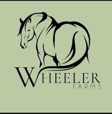 wheeler logo gravenhurst