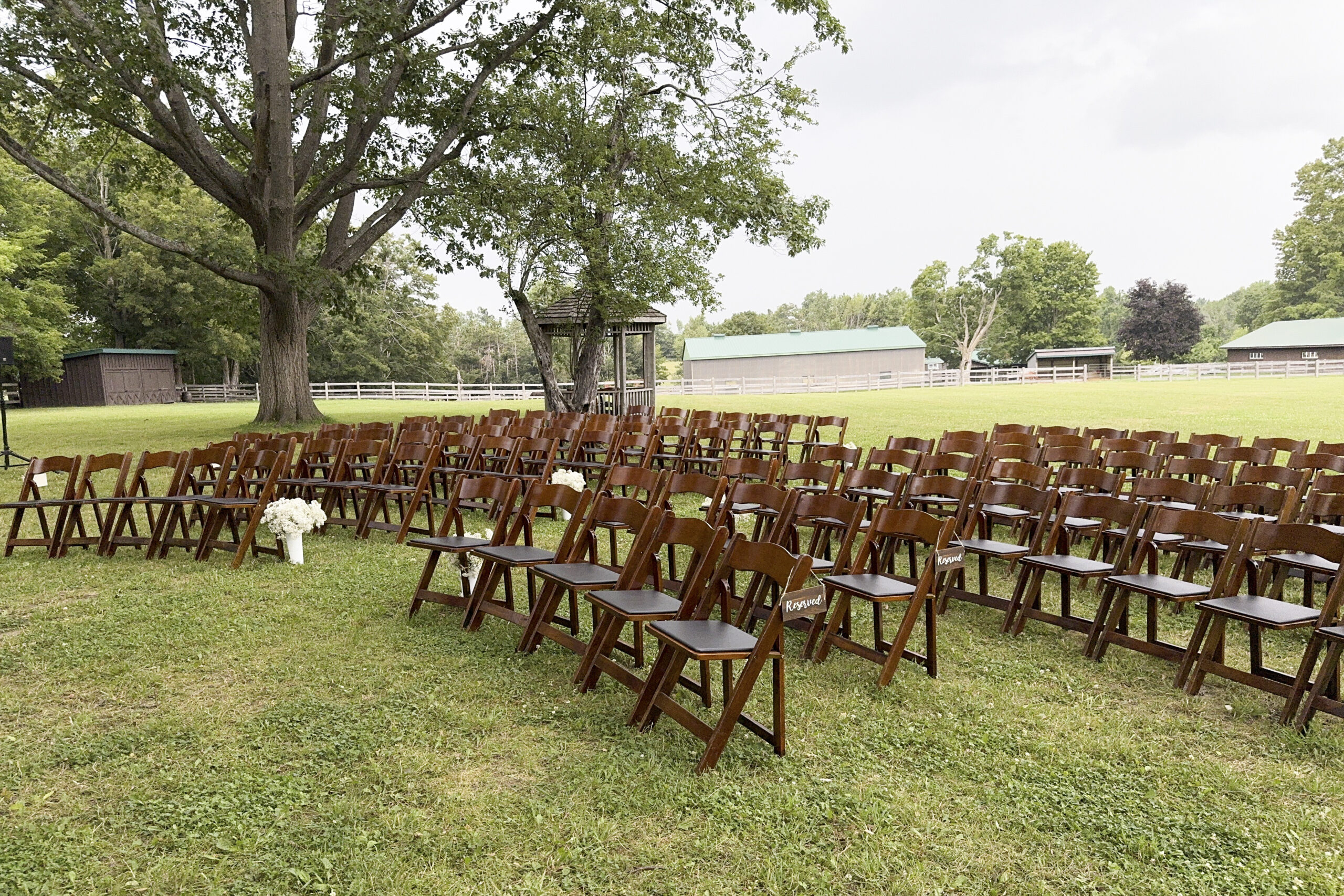 Outdoor wedding ceremony chairs under large shade tree at Glen Oro Farm