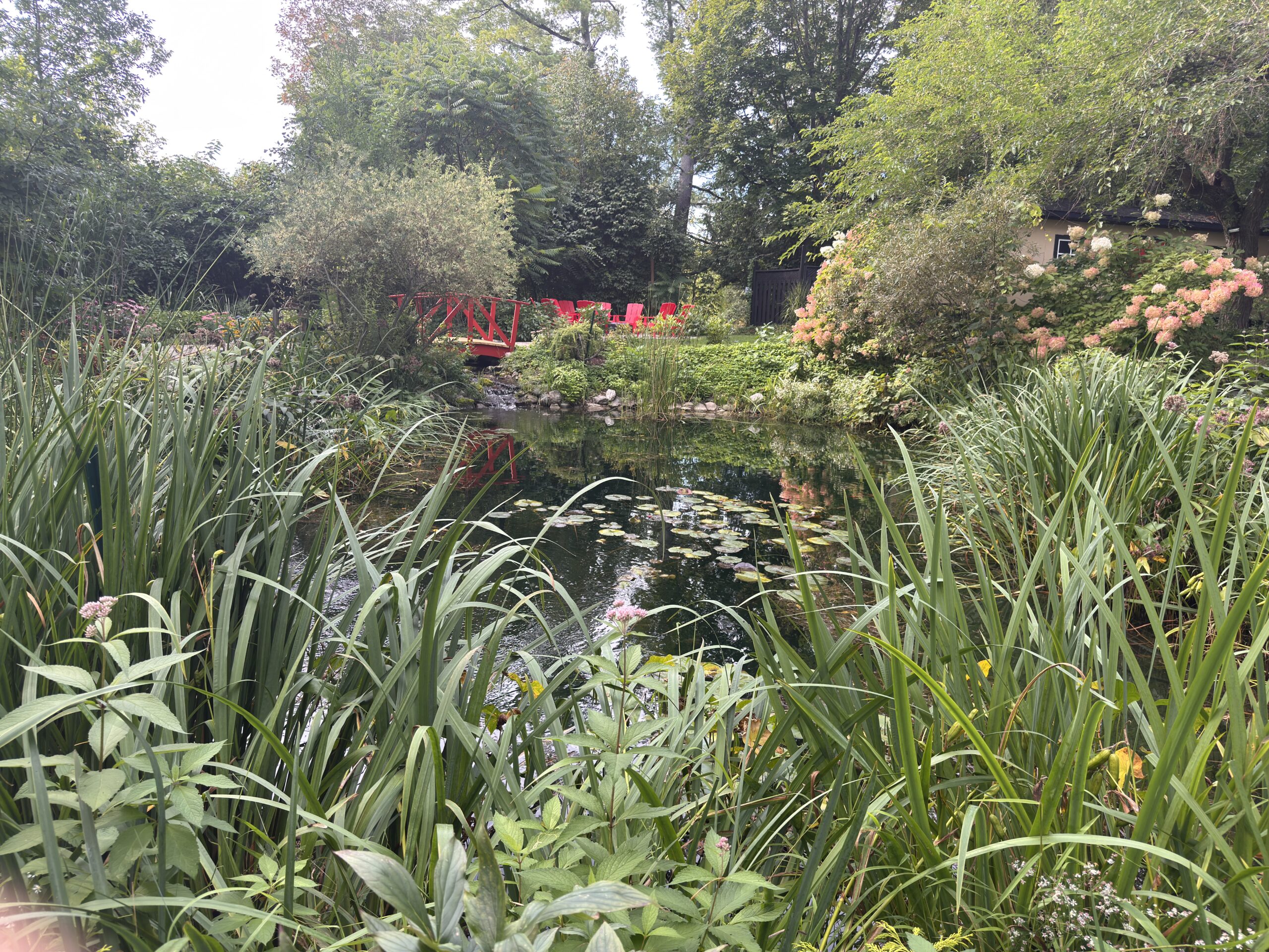 Koi pond with lily pads and a small red bridge, surrounded by perennial gardens at Northbrook Farm near Orillia, Ontario