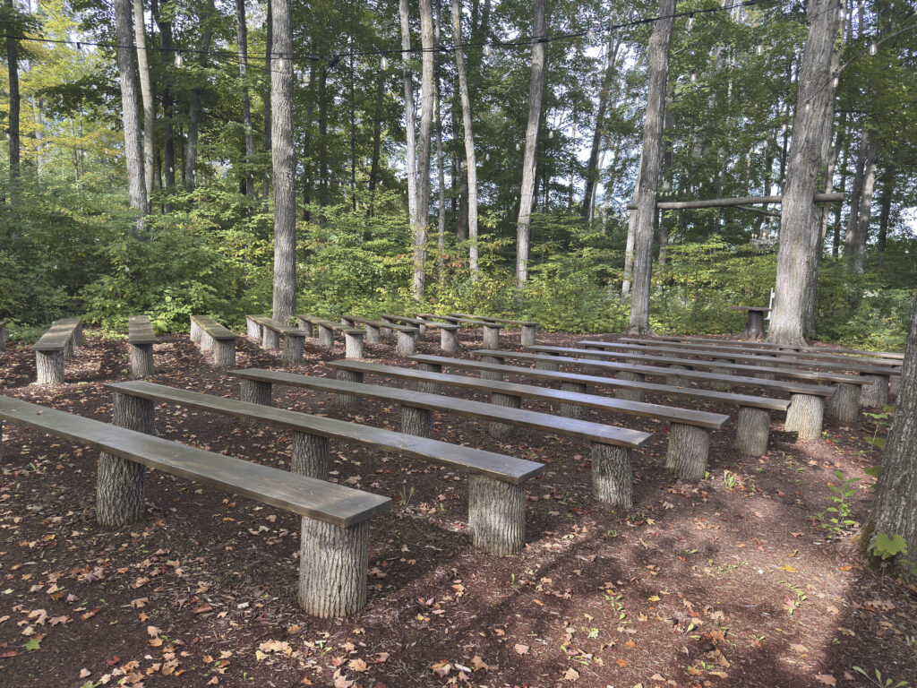 Rustic log benches set among the trees for a woodland wedding ceremony